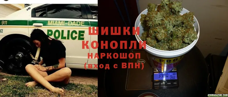 Каннабис SATIVA & INDICA  Урень 